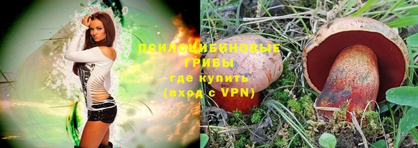 mdpv Балахна